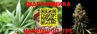 apvp Пушкино