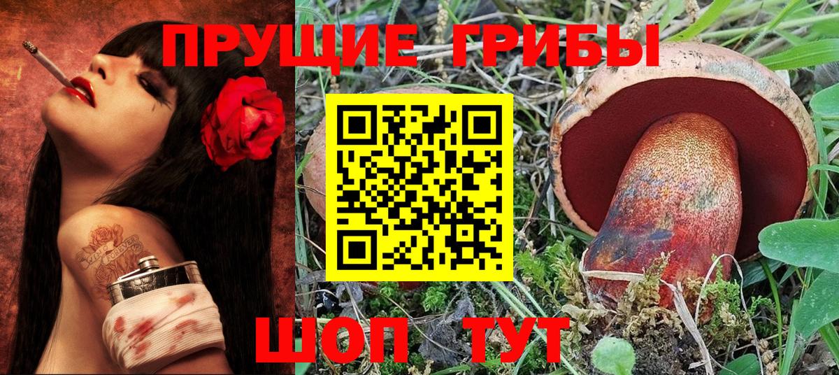 Светлоград  Галлюциногенные грибы Magic Shrooms  Вход с VPN  Галлюциногенные грибы мицелий 