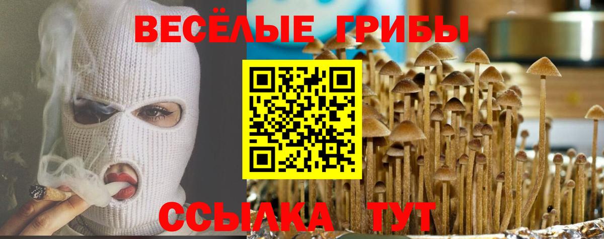 Псилоцибиновые грибы ЛСД Светлоград
